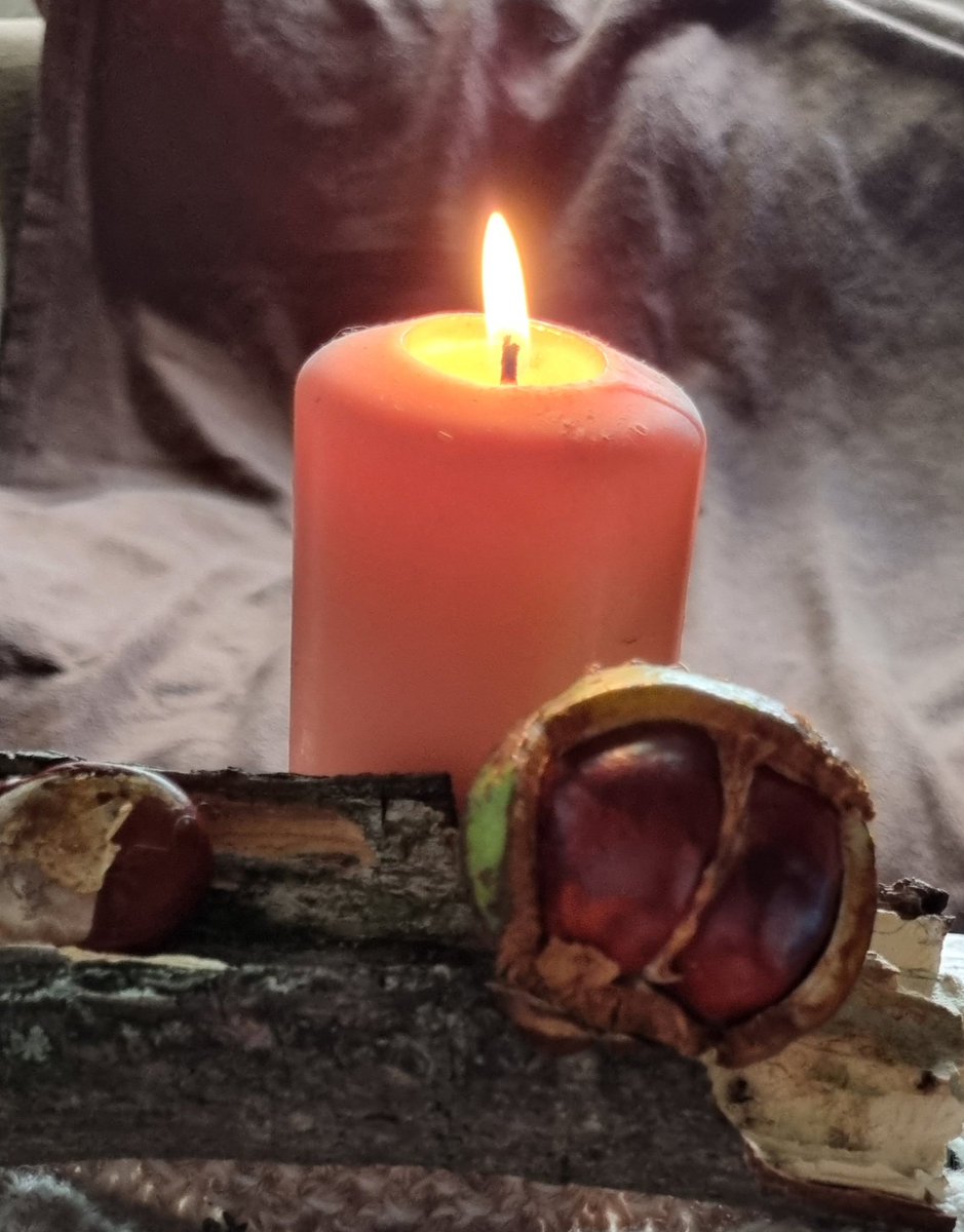 SheenaM1812's tweet photo. Thought this conker, collected in #Elmfieldpark on our walk today, captures the spirit of the #AutumnEquinox perfectly. #mabonblessings https://t.co/FIsH2W5t78