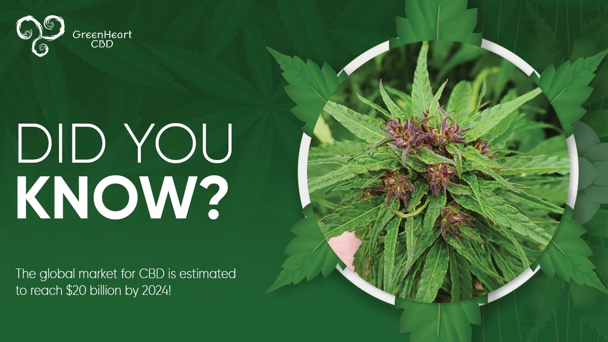 greenheart_cbd's tweet photo. The #global #market for #CBD is estimated to reach $20 billion by 2024, a huge increase on #sales of approximately $500 million in 2018.

#Greenheart #GreenheartCBD #DeFi #dApp https://t.co/g2PZz5KfoR