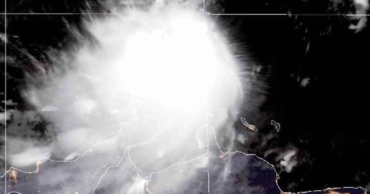 Tropical Depression Nine forms, Florida, Hurricane Hermine