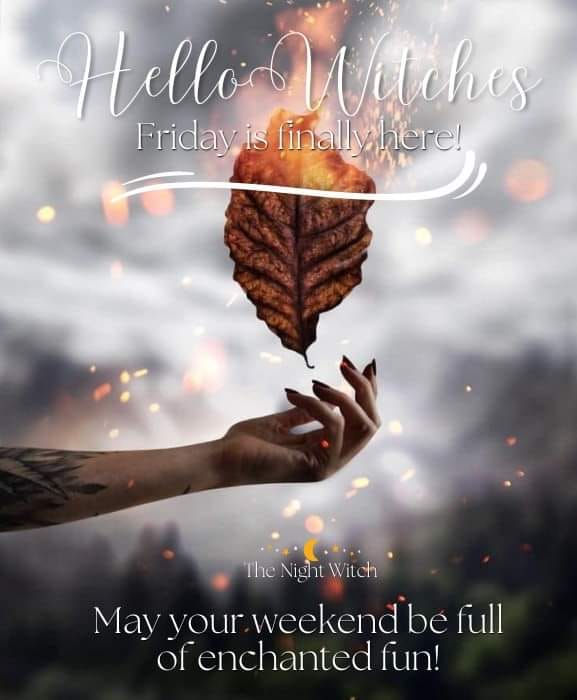 thewitchbrmclst's tweet photo. Let The Magick Begin https://t.co/5kPdswPmfJ
