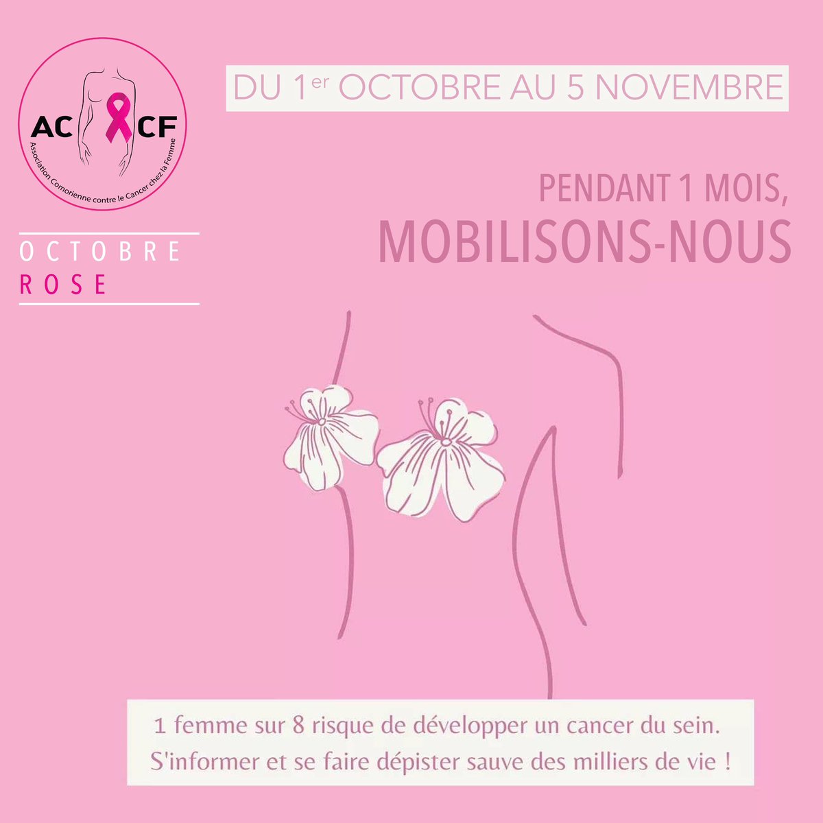 🎀 #OctobreRose 🎀 La campagne annuelle débute dans une semaine. Elle a pour objectif de sensibiliser toutes les femmes au dépistage précoce et continue de sauver des vies. Nous encourageons chaque femme à profiter de cet élan commun, à s’informer, et à faire ce dépistage.