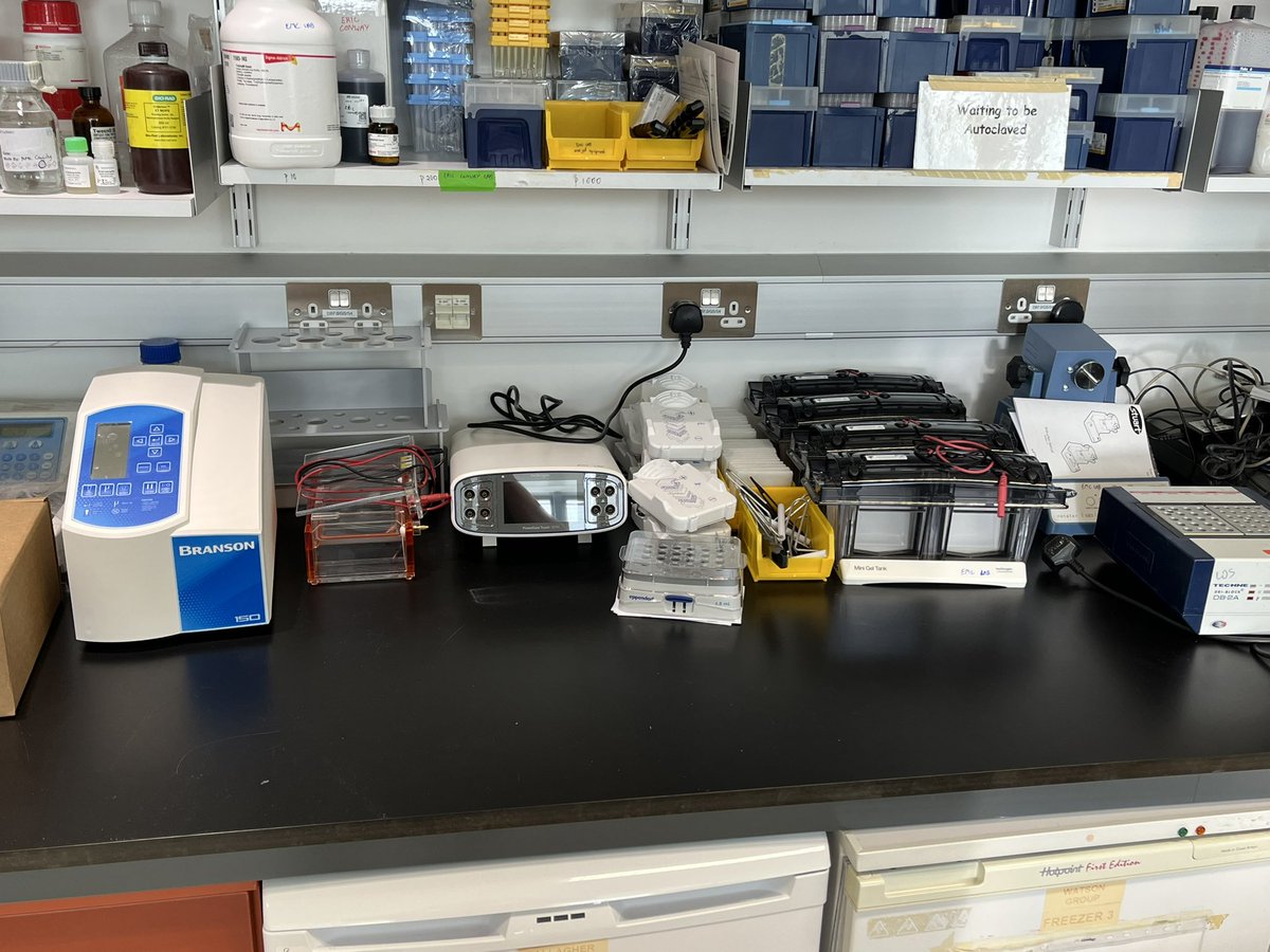 Eric Conway tweet media