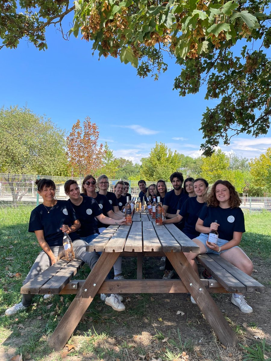 Les vendanges touchent à leur fin mais l'équipe reste mobilisée dans la bonne humeur !