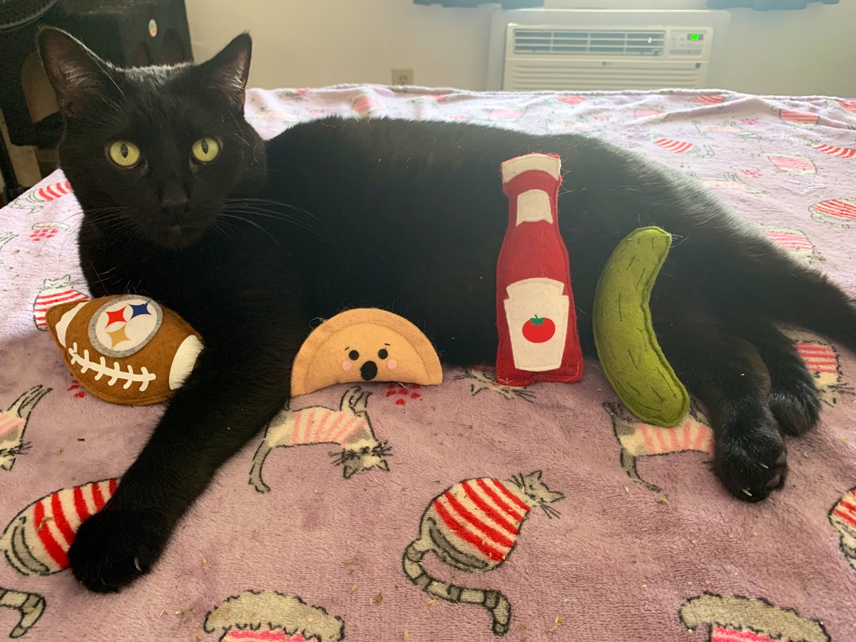 MavisandMochi's tweet photo. We got #gifted this Pittsburgh 🐾 Box from @toni_unleashed a couple days ago an we absolutely love these catnip toys! 10/10 for durability an cuteness! They sell 🐶 toys as well an ship worldwide! Link is in their bio. Thank you!❤️😻

#CatsOfTwitter #Cats #Pittsburgh #Steelers https://t.co/2pE6Tgrqex