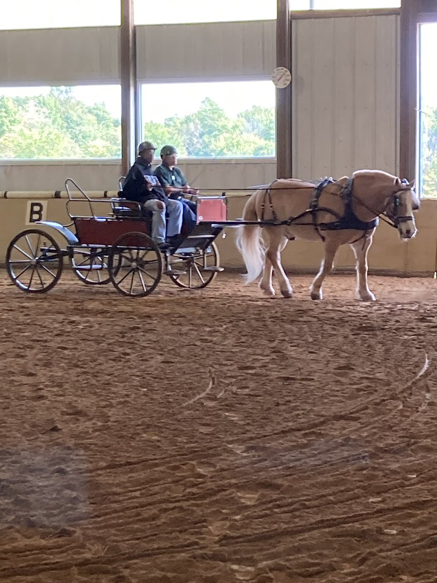 Gaitway_HS's tweet photo. It’s so nice to see our @ESCoftheWR /@Gaitway_HS students take part in equine related activities @FieldstoneF!  We are so thankful for all of these wonderful opportunities!  Thanks to the many supportive volunteers and financial supporters who make this possible! https://t.co/nofPTmHNAx
