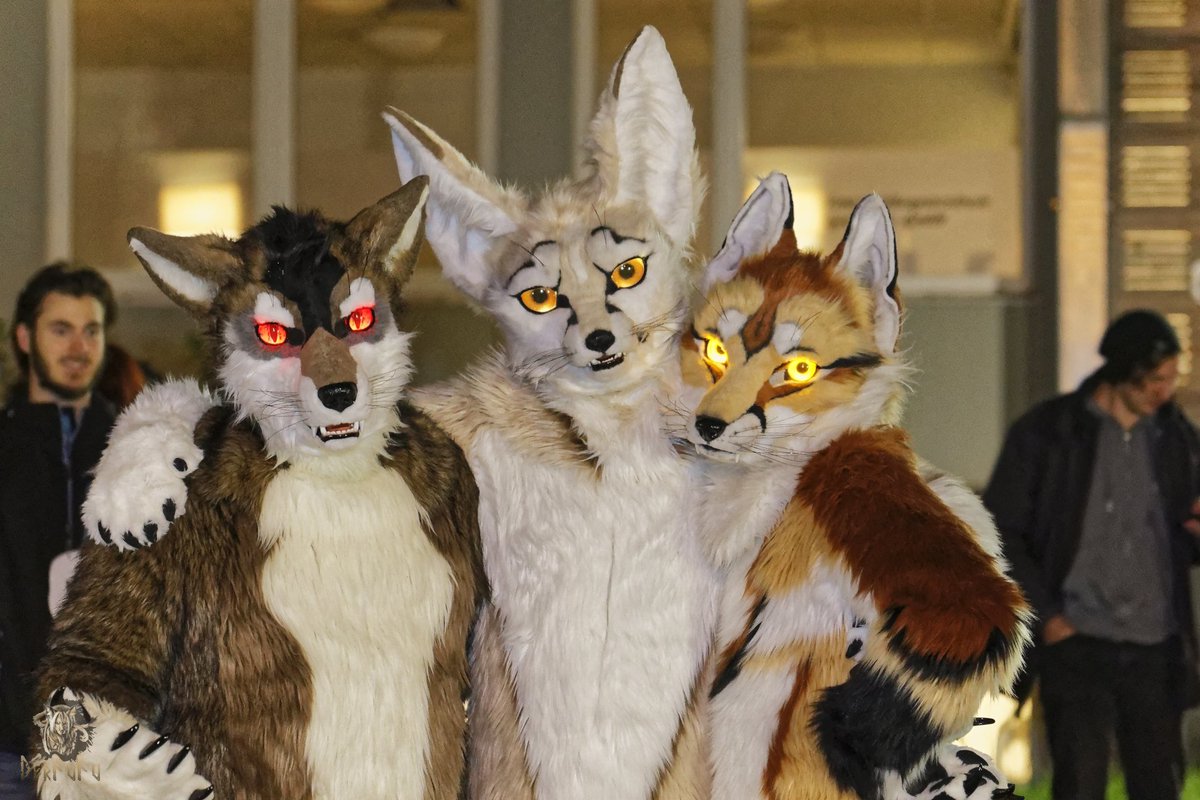 Happy #FursuitFriday everyone 

🐺 <a href="/That_Tommy_Guy/">Tommy!</a> 
👂Me
🦊 <a href="/MervSerg/">Merv</a> 

🪡 <a href="/arvinsLair/">ArvinsLair</a>
