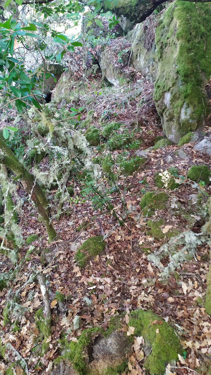 O xacemento de Pena Goia (Mugares #Toén) é dos máis interesantes do municipio, aquí é onde sinalan que foi emprazamento do Castelo de Louredo. Neste coto sobre o Miño pódense ver restos cerámicos, de tella curva, alicerces nas rochas e derrubos de sillería coma o da imaxe.