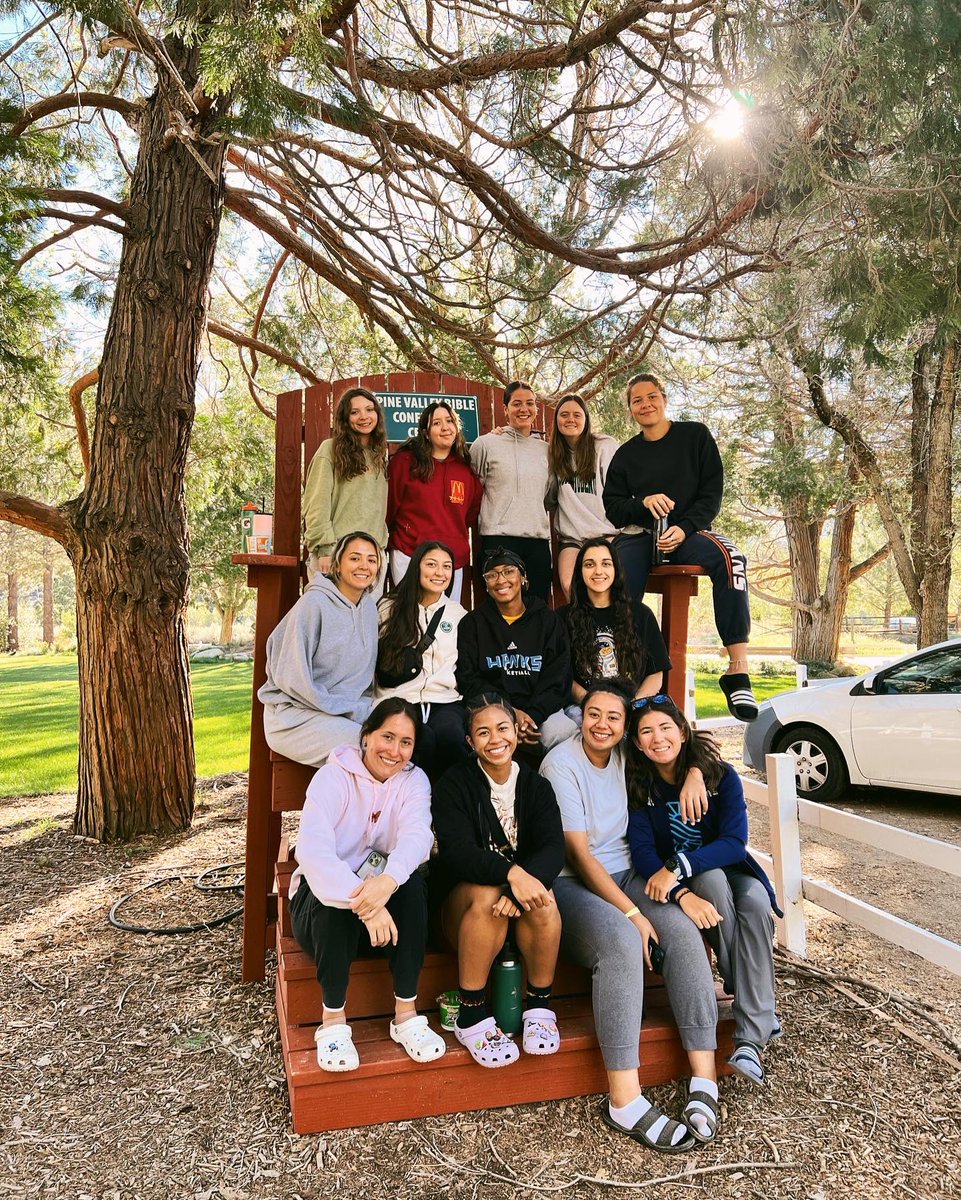 SDC WBB tweet media