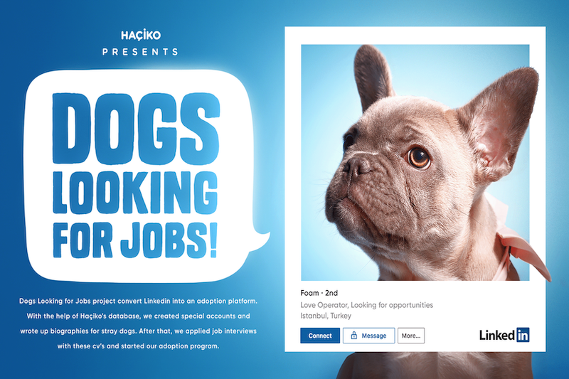 joelapompe's tweet photo. [BLOG] Linkedin profiles… for dogs! Copycat or coincidence? Be the judge https://t.co/Nr2ZPdNQfy ♻️ #JoeLaPompe #CopyPaste #Lookalike #SameIdea #CannesLions2022 🦮 https://t.co/GGfBUM2wlU