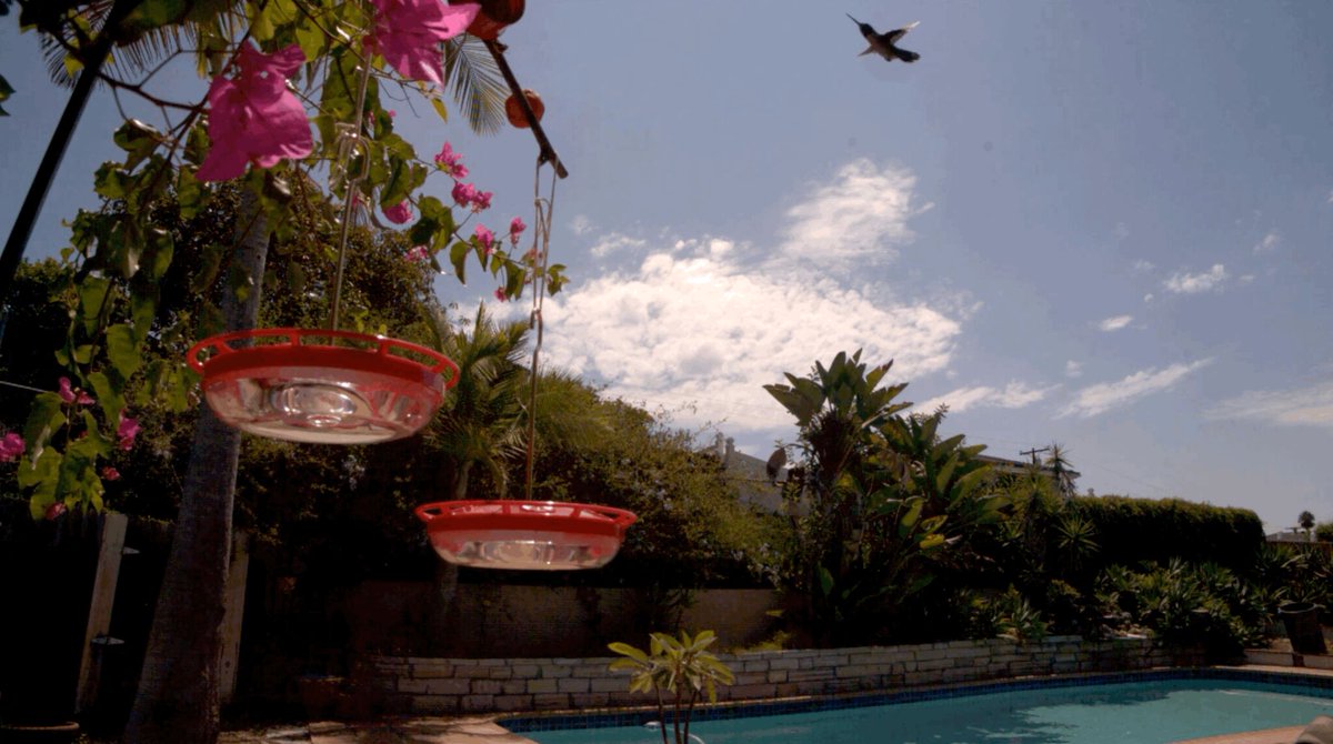 highspeedvideo's tweet image. Another #TechTip for our #Fastec cam users out there. Tim from Fastec put together a quick introduction for Variable Speed Playback. Ramp up your skills!

vimeo.com/749612318

#MotionEngineering #HighSpeedSolutions #imaging