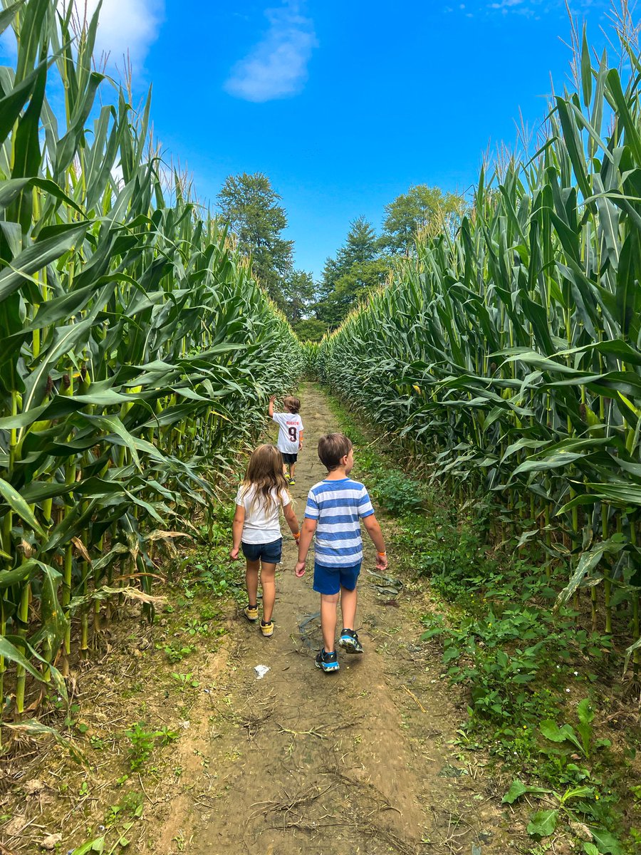 Not all who wander are lost…unless you are in a corn maze. 😂🌽

#cornmaze