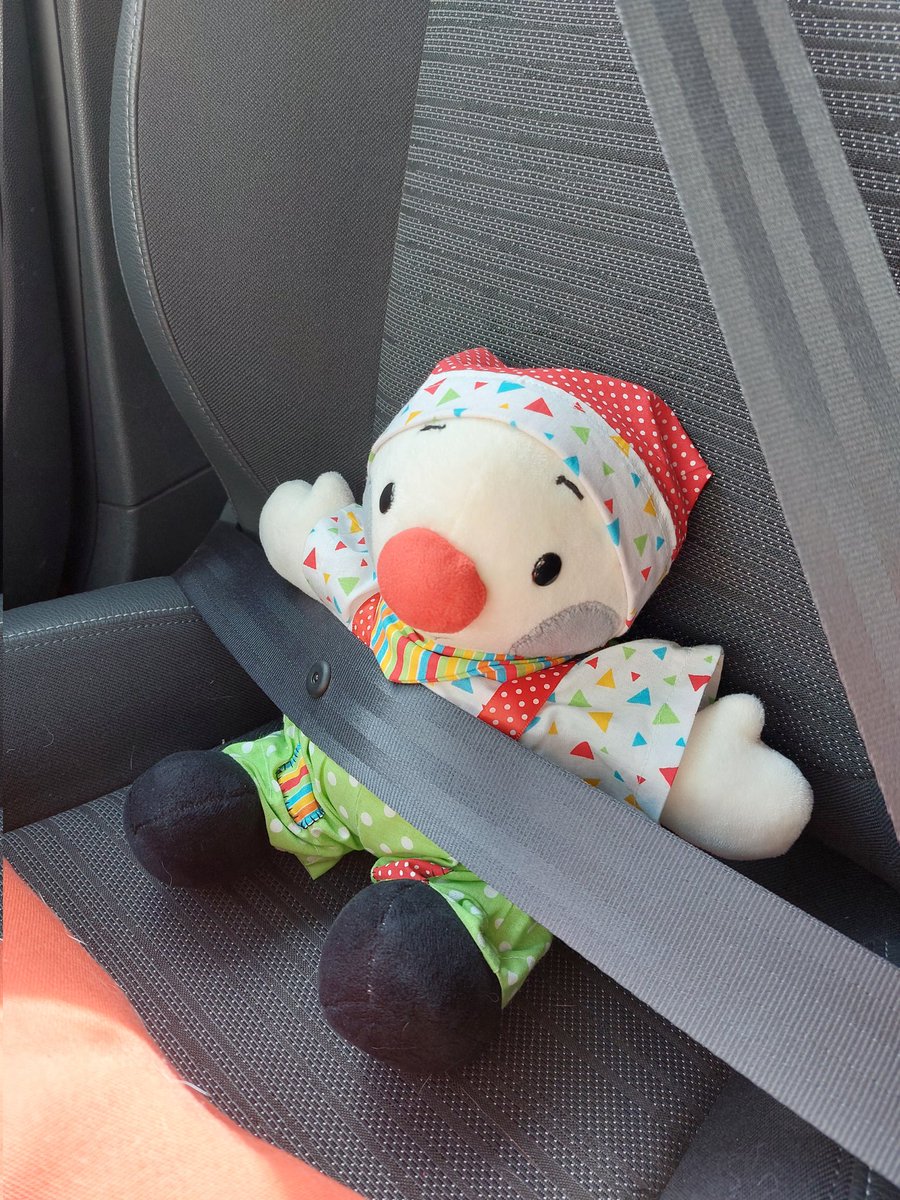 My emotional support for the day. BB Baron is coming with me to pick  up Peppy from the funeral service.