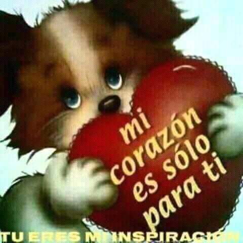 SilviaSal7's tweet photo. Buenos dias https://t.co/OzoM1Oqcba
