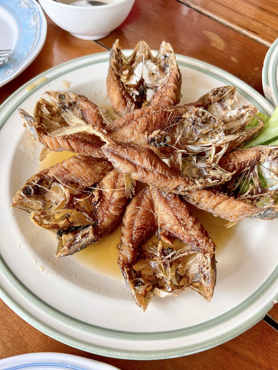 aearReview's tweet photo. อีกหนึ่งร้านเด็ดย่านคลองโคน ร้านนี้ปูไข่นึ่งดีงามมาก ไข่แน่น เนื้อหวาน สด อร่อย น้ำจิ้มซีฟู้ดแซ่บ เมนูอื่นก็ปัง แนะนำเนื้อปูผัดผงกระหรี่ กุ้งทอดพริกเกลือ ปลาทูทอดน้ำปลา วัตถุดิบดี ซีฟู้ดชิ้นใหญ่จุใจ รสชาตินัว ถูกปากทุกเมนูที่สั่งเลย🫶🏻
📍กบซีฟู้ด
@aroii #อร่อยบอกต่อ @ReviewAroii https://t.co/51fRaONaF0