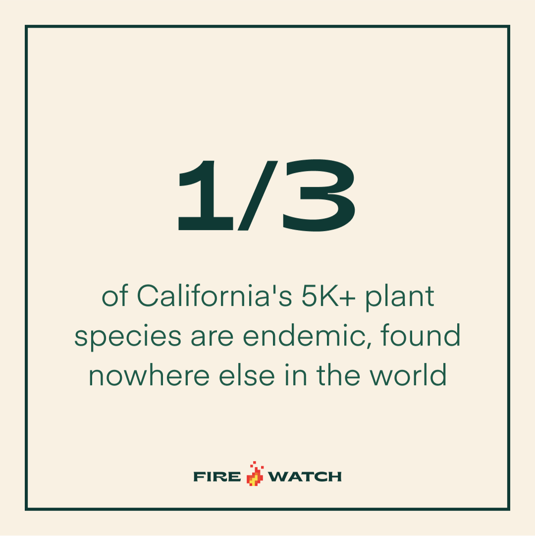 To say California is ‘rare’ would be an understatement. Let’s protect it.

Start fighting: firewatch.fund

 #firewatch #cryptoforgood #nfts #fireseason