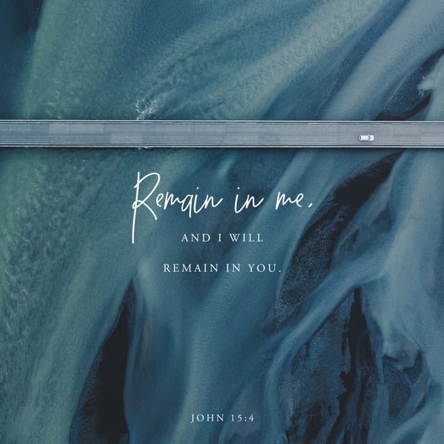 mtolivetut's tweet photo. “Remain in me, as I also remain in you. No branch can bear fruit by itself; it must remain in the vine. Neither can you bear fruit unless you remain in me.” John 15:4 NIV
#VerseOfTheDay https://t.co/4PSvXLeYMT