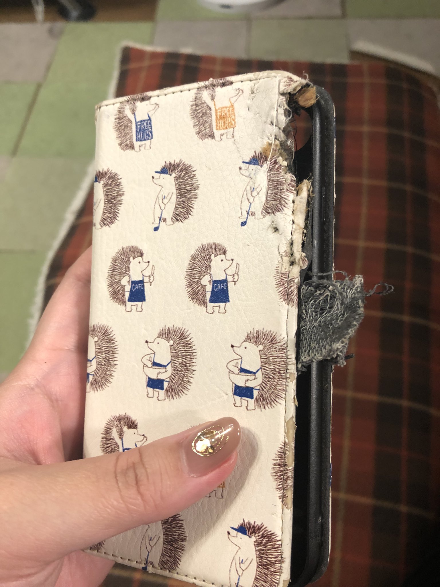 チャイナユニコムとチャイナテレコム、来週iPhone 5SとiPhone 5Cの予約注文を開始