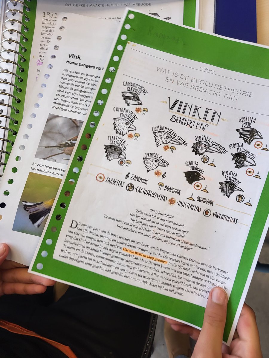 Op lesbezoek bij groep 8 vandaag. Deze week hebben ze twee teksten over vinken gelezen. Een eenvoudige en een meer complexe tekst. Vandaag zochten ze naar verschillen en overeenkomsten tussen deze teksten.<a href="/onzeamsterdamse/">OAS</a> #OGO #lezen