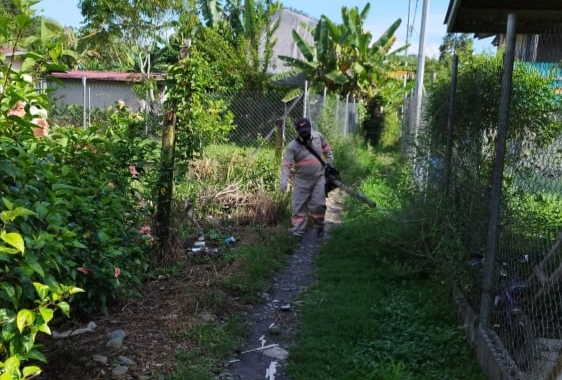 #BocasDelToro | Efectuamos una jornada de nebulización e inspección en los predios de las viviendas para la eliminación de criaderos del mosquito transmisor de dengue y malaria, en diversos sectores del corregimiento El Empalme. #ProtégetePanamá