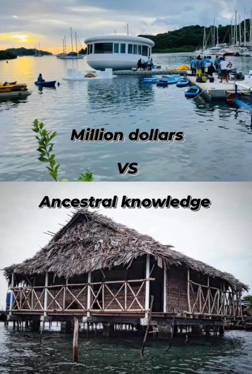 #panama #memes #casaflotante #portobelo 
Originarios 1 Ricachones 0 🤣