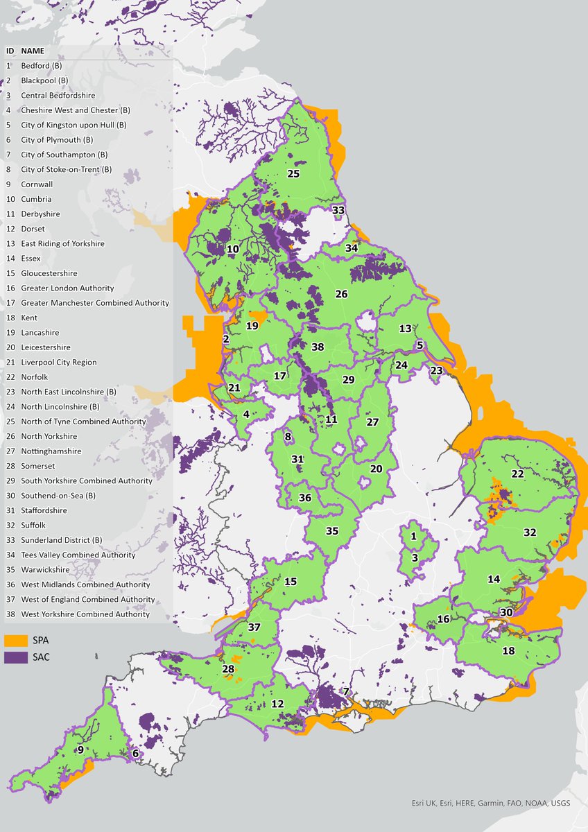 If they carry out their plans nowhere will be safe. This map shows legally protected areas in purple and orange (the SACs and SPAs) mapped on to districts, in green, that want investment zones. Places where anything could be built anywhere. And these are just the start. 4/13