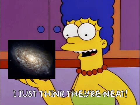 Astro_Chad's tweet photo. Cosmologists: I must solve astronomy's greatest mystery, the true nature of the universe

Planetary scientists: I must answer astronomy's greatest question, if life exists elsewhere in the universe

Astronomers studying galaxies: https://t.co/yG9zKXBHgE
