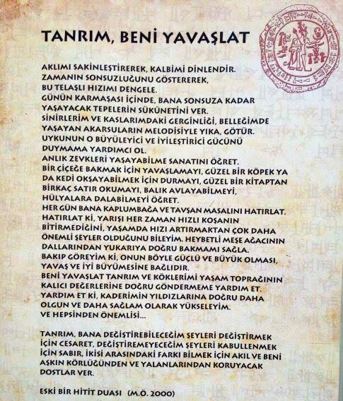 glsm_tamer's tweet photo. Ne dileyeceğimi yeni öğreniyorum diyelim. https://t.co/Rk5H7S5lho