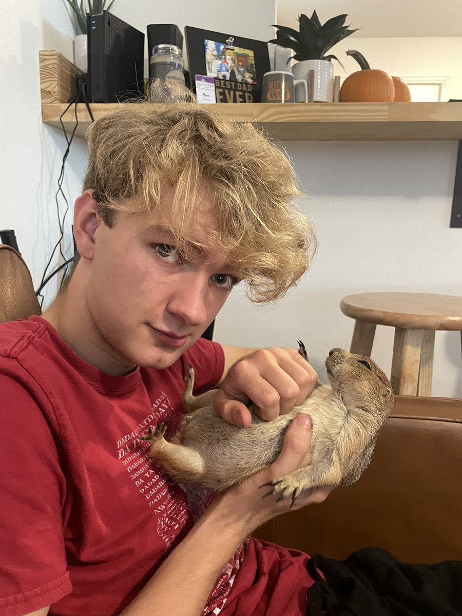 TommyInnit tweet media