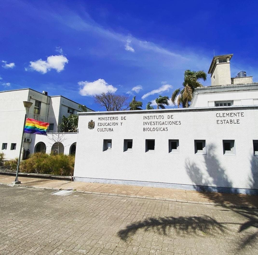 rossanaperrone's tweet photo. Ayer nos enteramos que por orden directa del Ministerio de Educación y Cultura, se debió retirar la bandera de la diversidad del Instituto Clemente Estable. Esto es un atropello a los derechos de todes. No tenemos palabras para expresar la indignación que sentimos. https://t.co/omy5EkSJAI