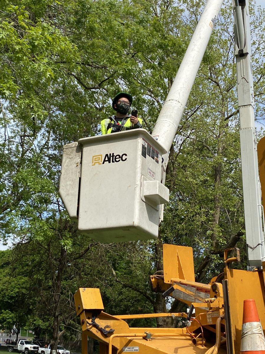 If you work on trees within the city limits of Portland, the Local Tree Care Providers workshop will teach you about different kinds of tree permits and how to submit applications.  tinyurl.com/2d8v28ym  #trees #pnw #arborist #treecare #tcia #arboriculture #forestry #tree