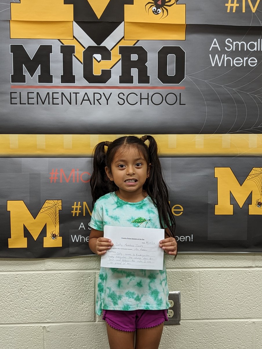 Micro Elementary tweet media