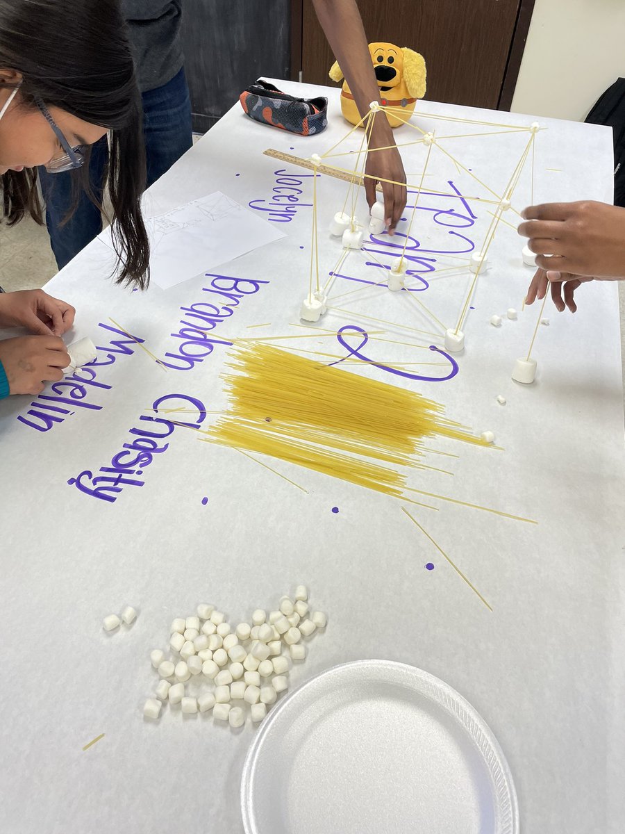AISDSmallAnimal's tweet photo. Today in the Practicum in AFNR course we are working on our team working & leadership skills via tower building!! #aliefisd #aisd #teamwork #leadership #LEAD #AG #TXFFA @alief_proud @AliefCTE https://t.co/C61V6x33Yu