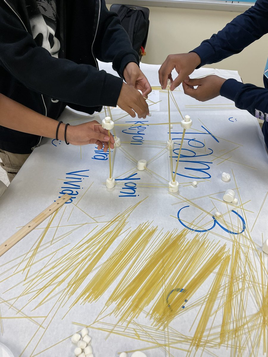 AISDSmallAnimal's tweet photo. Today in the Practicum in AFNR course we are working on our team working & leadership skills via tower building!! #aliefisd #aisd #teamwork #leadership #LEAD #AG #TXFFA @alief_proud @AliefCTE https://t.co/C61V6x33Yu