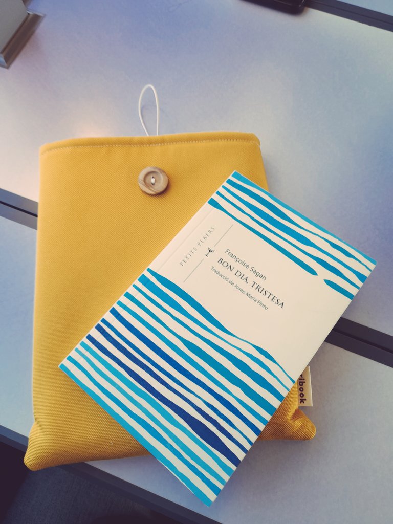 mmflorens's tweet photo. Passejant un Petit Plaer per París📚🥰@blancapujals @Viena_Edicions #ensencantenelsPetitsPlaers https://t.co/0lCI65d5ph