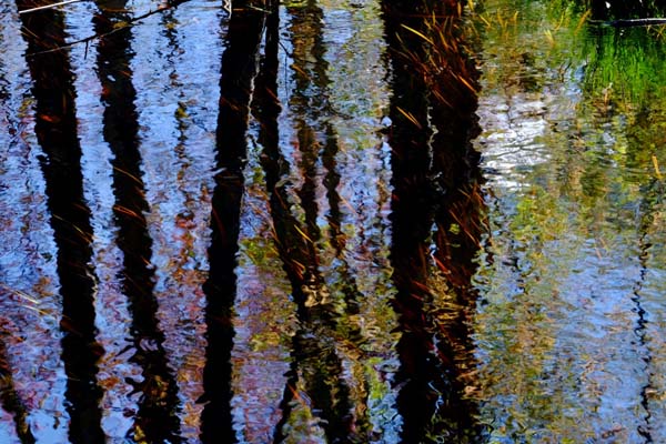 VisitNCM's tweet photo. Fitchburg Open Studios is this weekend September 24-25!  Check out this free, self-guided, art discovery tour which allows you to visit with as many artists and locations as you desire, with each stop offering its own unique and varied experience. https://t.co/0Bs2Ptssvp https://t.co/R6nnQoSWr2