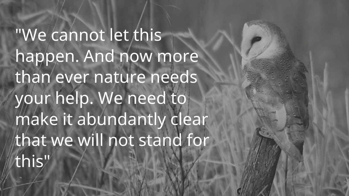 ⚠️😡Make no mistake, we are angry. This Government has today launched an attack on nature. We don’t use the words that follow lightly. We are entering uncharted territory. Please read this thread. 1/13