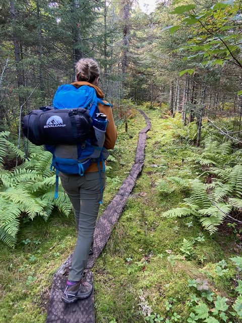 MD/PhD students Taylor <a href="/sysbiodoubledoc/">Taylor Weiskittel</a>  and Mylan go backpacking! How do you spend your time outside of lab? 

#doubledocs
#mayomstp