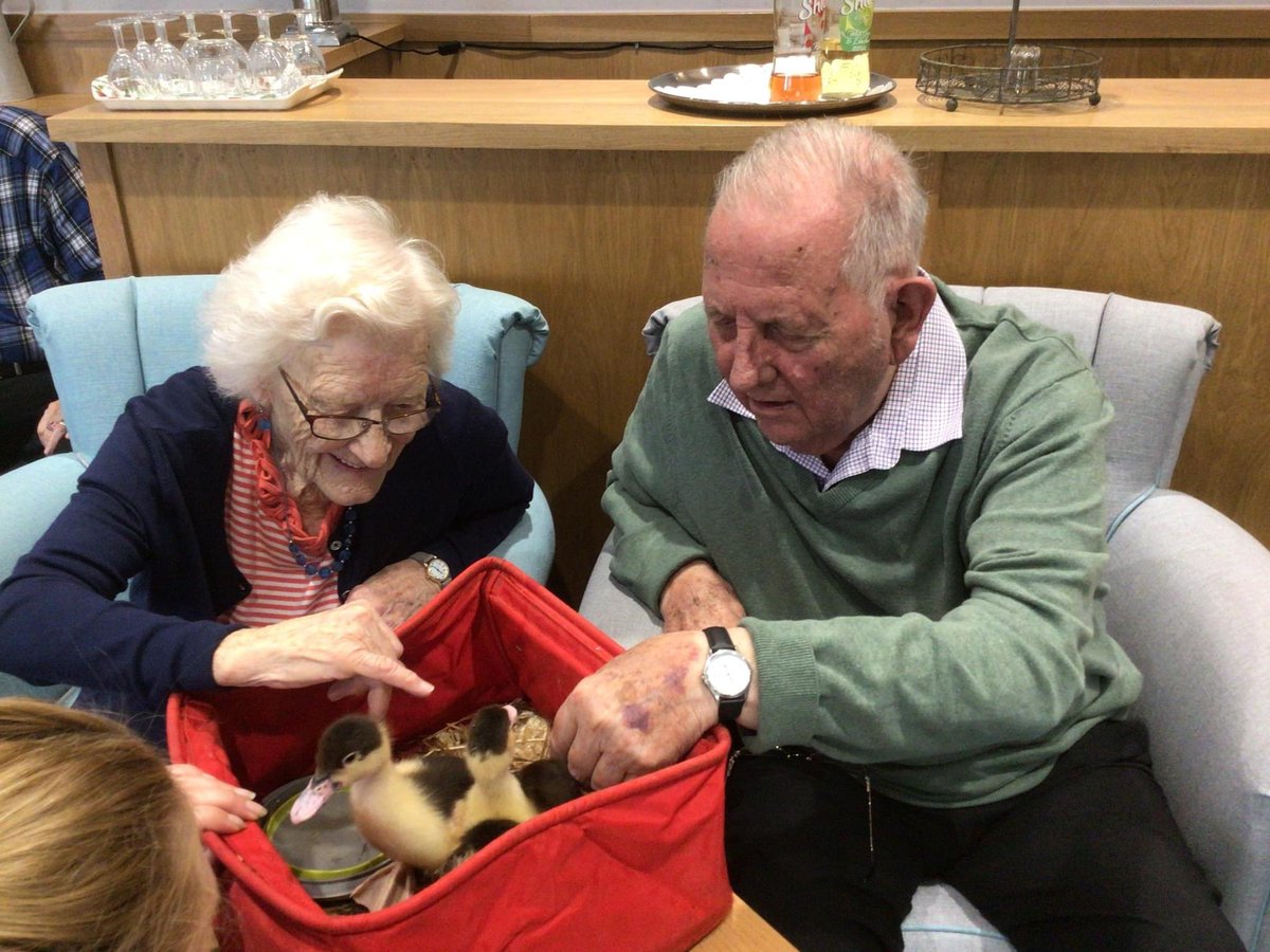 friendsofccourt's tweet photo. Here’s Doris &amp; John having a good view and stroke of some fluffy ducklings! Ryedale Farm from Malton brought the young birds for our residents at Connaught Court to see and hear. The outdoors, indoors 🐥🐥 https://t.co/Kne9M4Pztf