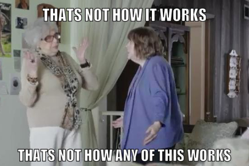 Actual spiders when they see people festoon their yard with Halloween webs: