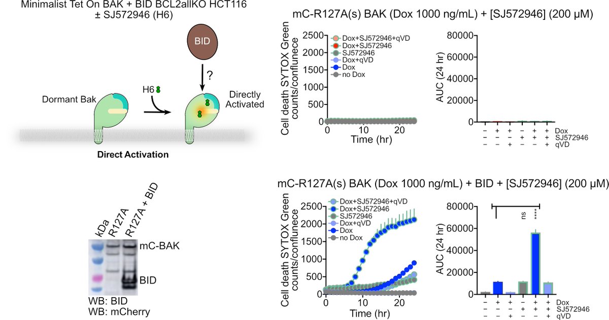 MoldoveanuLab tweet media