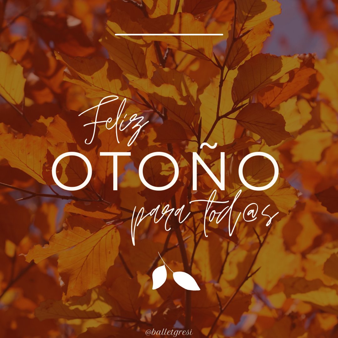 somosgresi's tweet photo. Está por entrar el otoño. 🍁🍂 Que sea una buena época para tod@s. 😌
#otoño #otoño2022 #otono #GresiBallet https://t.co/ru9iy9kjfz