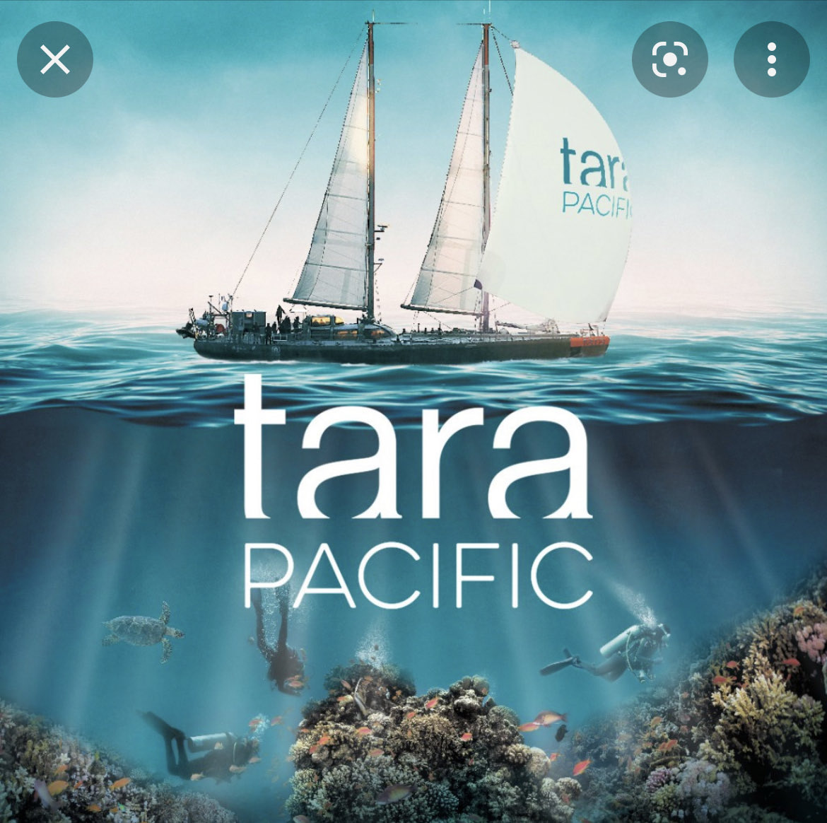 chatocm11 tweet media