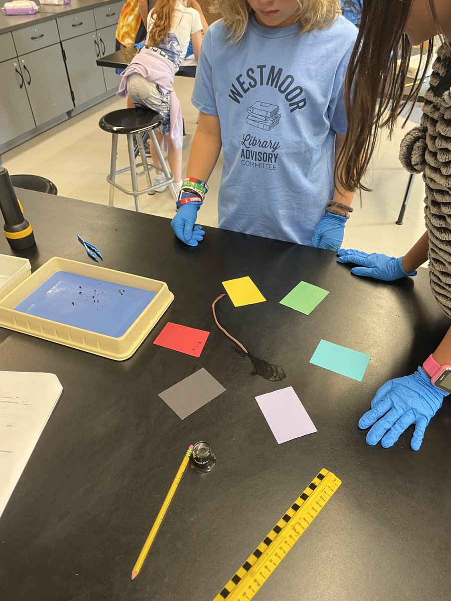 4th grade students loved learning about structures and functions of plants and animals in science lab!