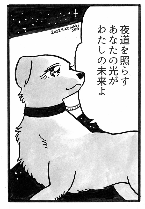 夜道を 