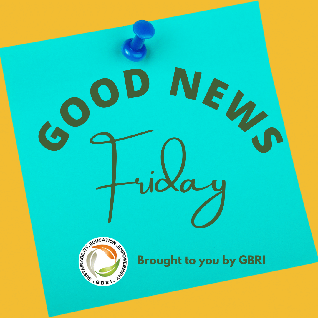 GetYourLEEDOn's tweet photo. Happy Friday!

Here is your Good News Friday update, brought to you by @GetYourLEEDOn. Help us celebrate these positive stories from around the world! 🎉
#goodnewsfriday #gbrinews #positiveimpact #trendingnews #content #design #research #sustainability #renewableenergy https://t.co/SZEzsYuOju