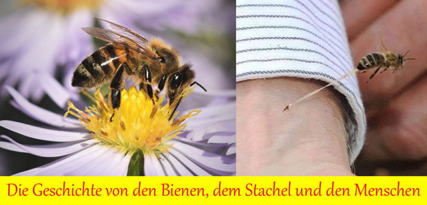 RfD_BRD's tweet photo. Die #Geschichte von den #Bienen, dem #Stachel und den #Menschen: https://t.co/Fs9t4MCqcm https://t.co/Zt6GIszEfD