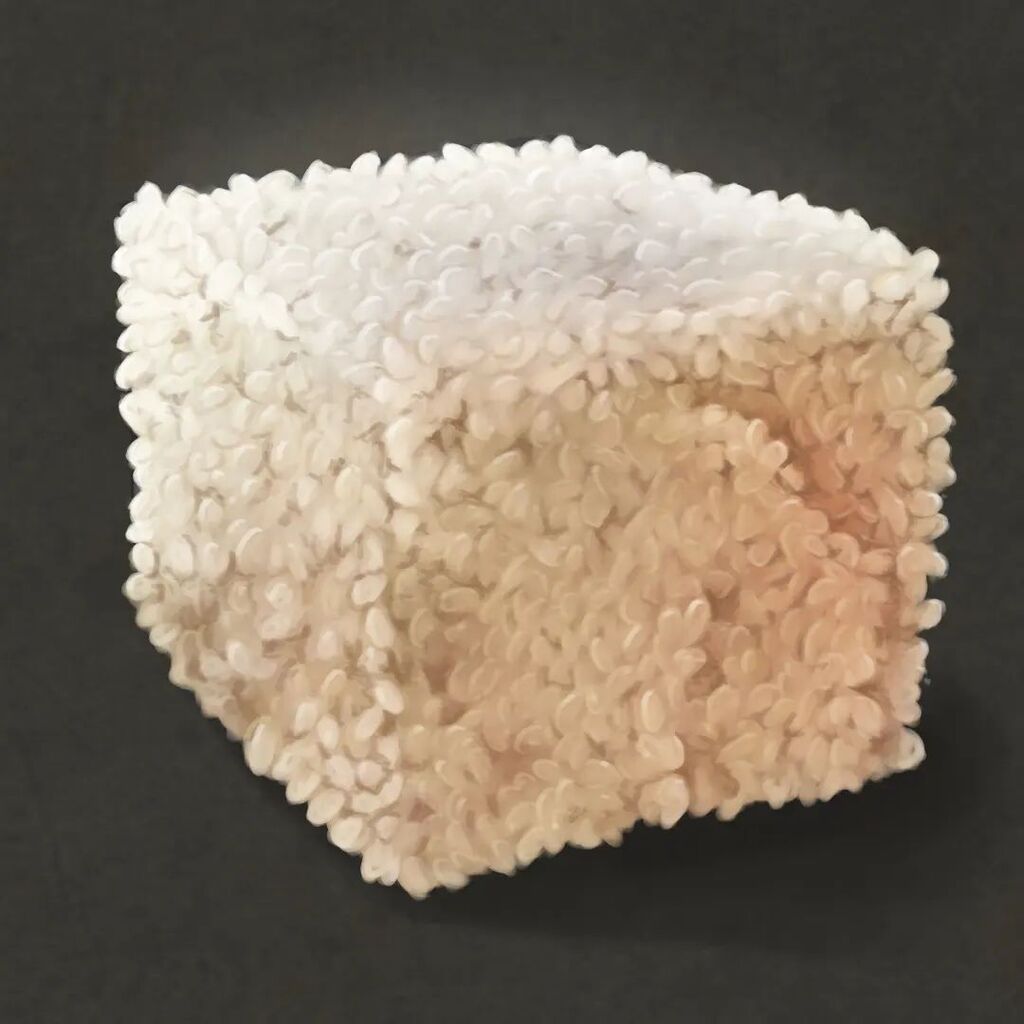 yajyolid's tweet photo. Rice

#artph #materialstudy #texturepainting #digitalpainting #digitalillustration #pinoyart #digitalart #jaydiloy #freelanceillustrator https://t.co/RFsigBHYNG https://t.co/Vwy25VMOom