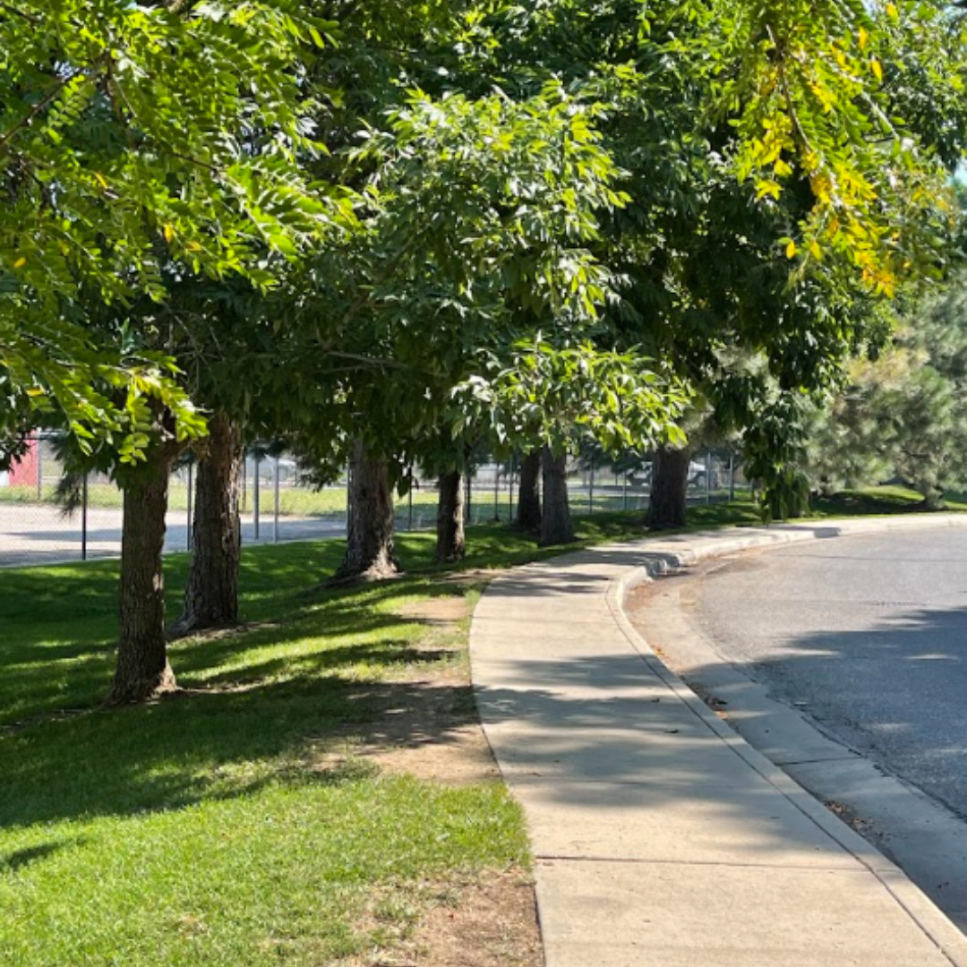 There is something special about a street lined with trees. Warm, welcoming, and homey - just like Lafayette. Another reason to love where we live. #whatmakeslafayettegreat
