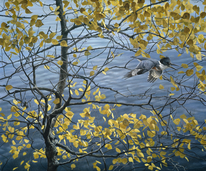 batemanfdn's tweet photo. Hereโs a shot from the archives of Robert Bateman working on 1977โs โKingfisher and Aspen" ๐จย
How about getting to know your surroundings this weekend? Observe the nature around you in the thoughtful way Robert Bateman does ๐๐ชถ
#fromthearchives #robertbateman #BatemanValues https://t.co/BN9pnSIXwh