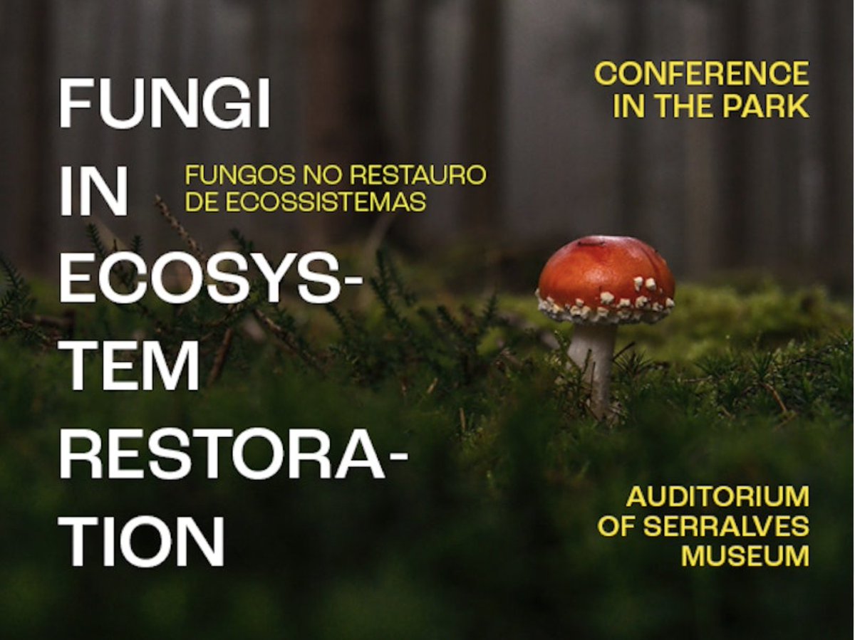 Time to consider FUNGI IN ECOSYSTEM RESTORATION! Join us in Porto, Portugal, or online on 25-26 Oct to hear top leaders review the scientific evidence and for engaging discussions to define guiding principles and practices in the “Serralves Declaration”. > serralves.byblueticket.pt/Evento?IdEvent…